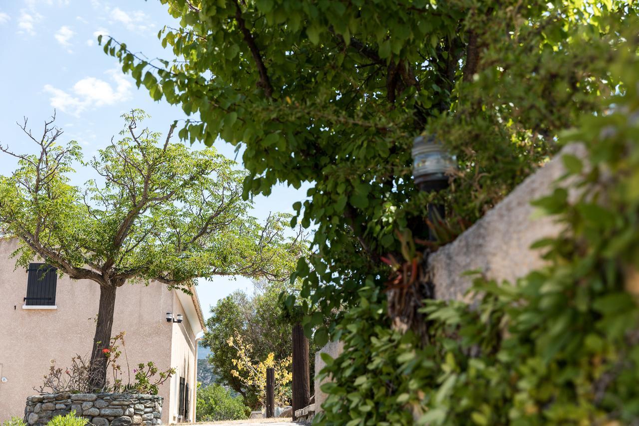 Residence Costa D'Oru Saint-Florent  Exterior photo